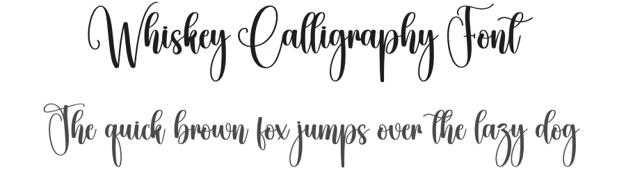 Whiskey Calligraphy Font by creativeletter — Script Handwritten Font