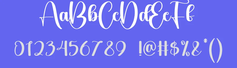 Whiskey Script Font by andikastudio — Script Handwritten Font — thumbnail 3