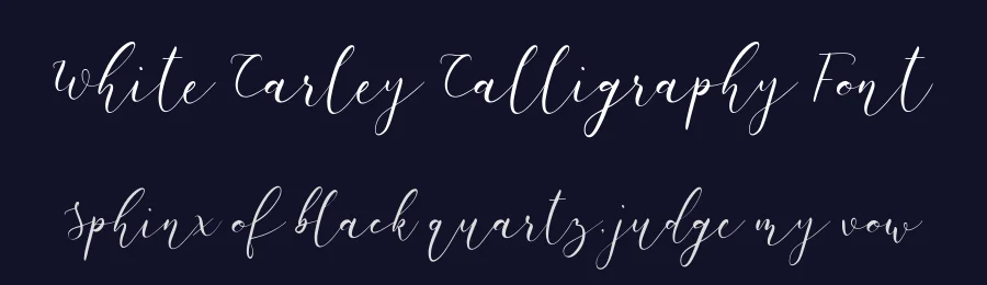 White Carley Calligraphy Font by Paily Studio — Script Handwritten Font — thumbnail 2