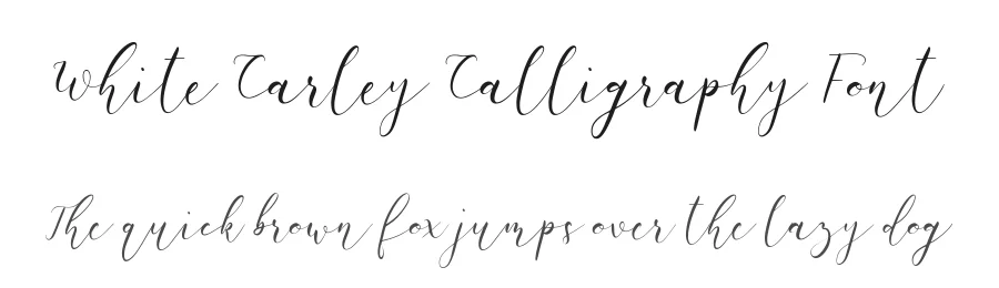 White Carley Calligraphy Font by Paily Studio — Script Handwritten Font