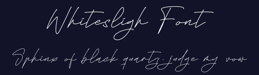 Whitesligh Font by letterfabric — Script Handwritten Font — thumbnail 2