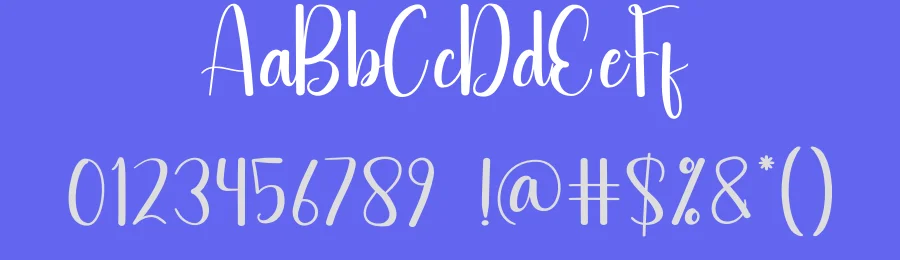 Widely Script Font by andikastudio — Script Handwritten Font — thumbnail 3
