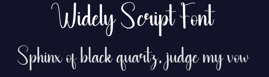 Widely Script Font by andikastudio — Script Handwritten Font — thumbnail 2