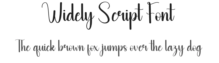 Widely Script Font by andikastudio — Script Handwritten Font