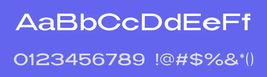 Widy Font Family by taras.pasternak — Decorative Font — thumbnail 3
