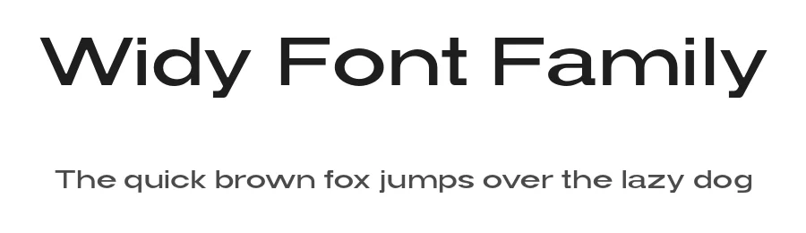 Widy Font Family by taras.pasternak — Decorative Font
