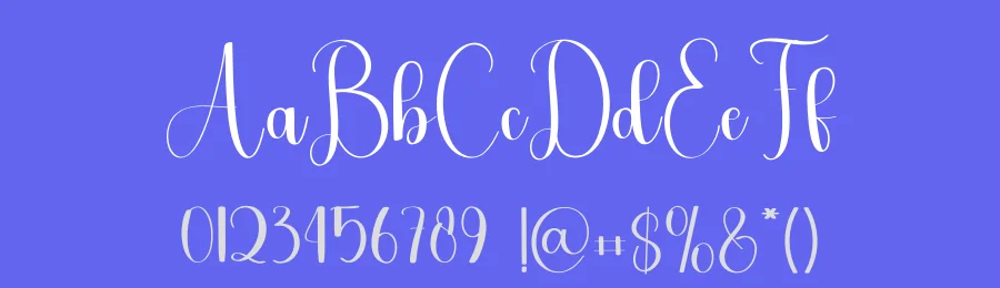 Wikipedia – Authentic Handwritten Style Font by freshtypeink — Script Handwritten Font — thumbnail 3