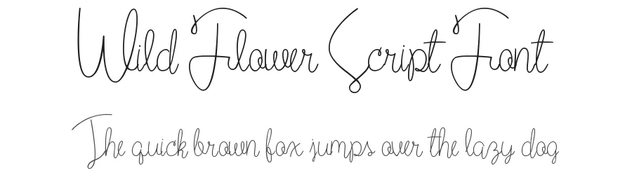Wild Flower Script Font by PremiereGraphics — Script Handwritten Font