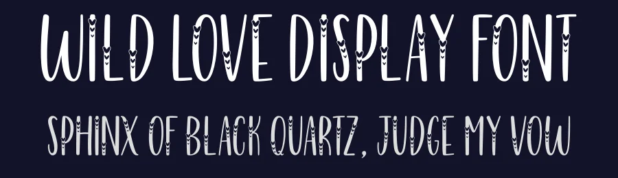 Wild Love Display Font by jimtypestudio — Display Font — thumbnail 2