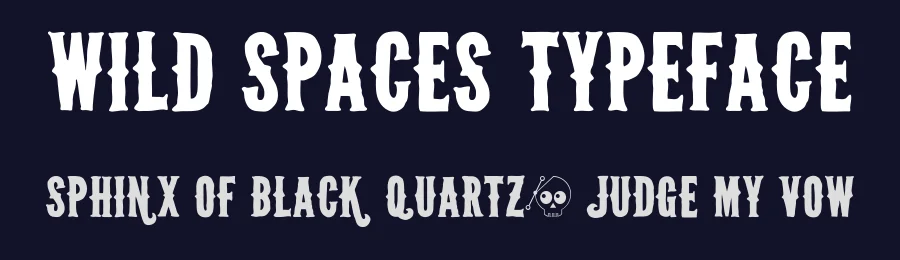 Wild Spaces Typeface by WeGraphics — Display Font — thumbnail 2