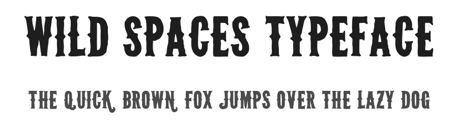 Wild Spaces Typeface by WeGraphics — Display Font