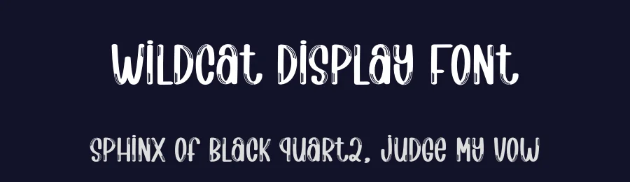 Wildcat Display Font by creativeletter — Script Handwritten Font — thumbnail 2