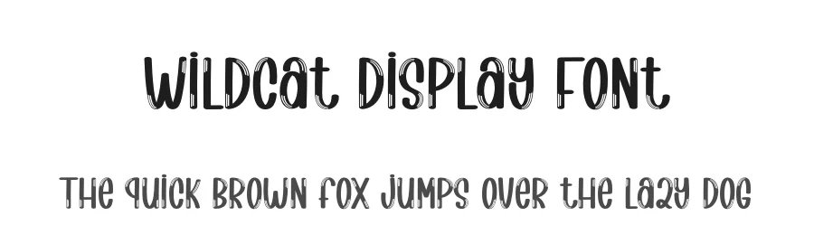 Wildcat Display Font by creativeletter — Script Handwritten Font