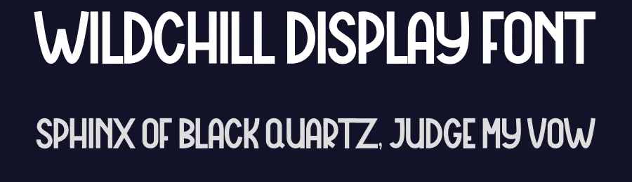 Wildchill Display Font by freshtypeink — Display Font — thumbnail 2