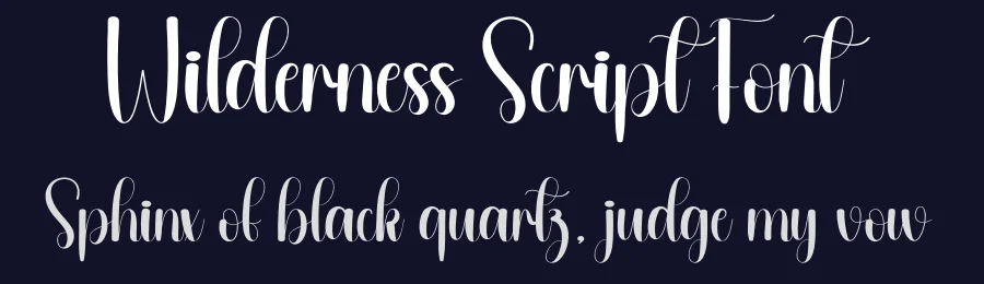 Wilderness Script Font by andikastudio — Script Handwritten Font — thumbnail 2