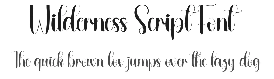 Wilderness Script Font by andikastudio — Script Handwritten Font