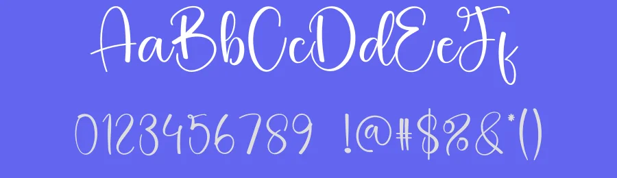 Wildflower Script Font by creativeletter — Script Handwritten Font — thumbnail 3