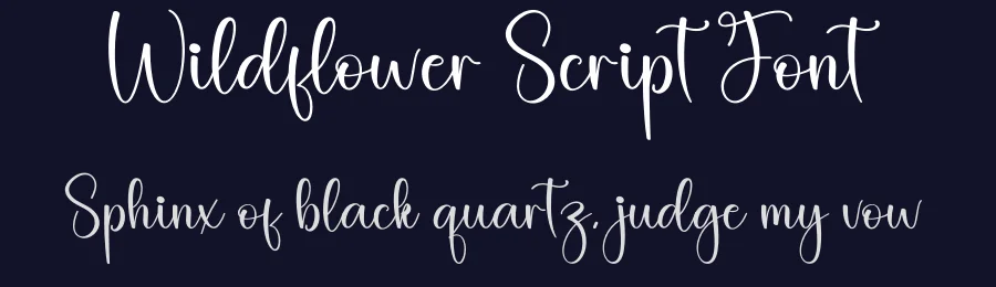 Wildflower Script Font by creativeletter — Script Handwritten Font — thumbnail 2