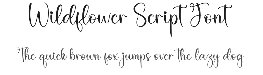 Wildflower Script Font by creativeletter — Script Handwritten Font