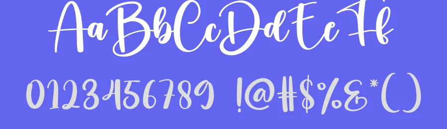 Wildflower Script Font by creativeletter — Script Handwritten Font — thumbnail 3