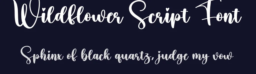 Wildflower Script Font by creativeletter — Script Handwritten Font — thumbnail 2