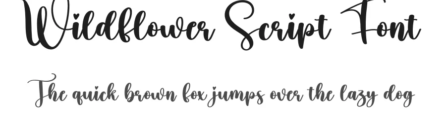 Wildflower Script Font by creativeletter — Script Handwritten Font