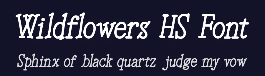 Wildflowers HS Font by Hannabie Creative — Display Font — thumbnail 2