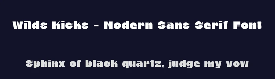 Wilds Kicks – Modern Sans Serif Font by timelesstype.co — Display Font — thumbnail 2