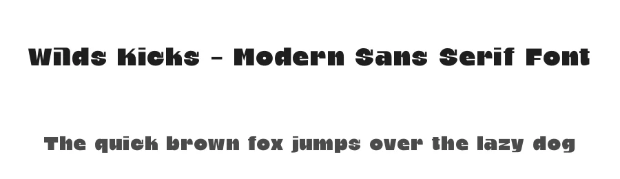Wilds Kicks – Modern Sans Serif Font by timelesstype.co — Display Font