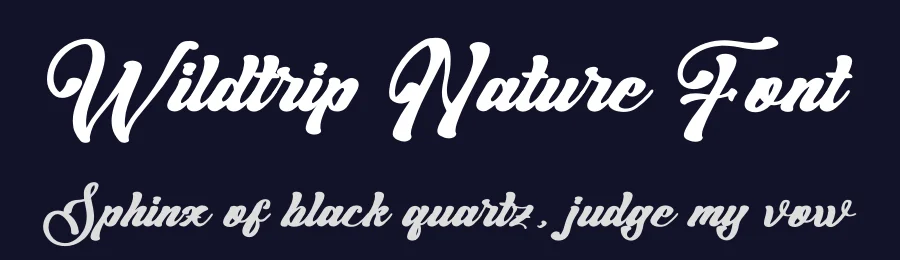 Wildtrip Nature Font by letterenastudios — Script Handwritten Font — thumbnail 2