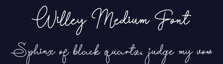 Willey Medium Font by Denustudios — Script Handwritten Font — thumbnail 2