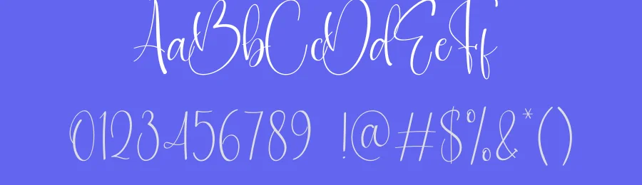 William Signature Font by creativeletter — Script Handwritten Font — thumbnail 3
