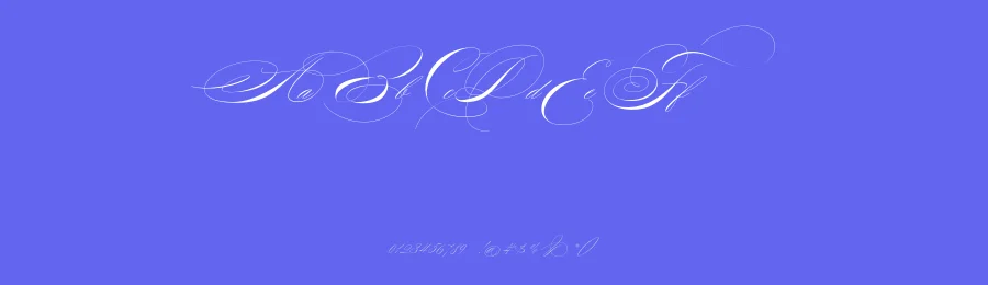 Willmaster Calligraphia Font by Alcode — Script Handwritten Font — thumbnail 3