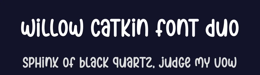 Willow Catkin Font Duo by DN Creative — Script Handwritten Font — thumbnail 2