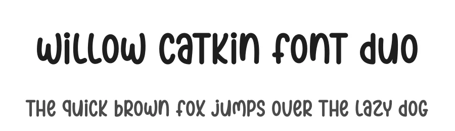 Willow Catkin Font Duo by DN Creative — Script Handwritten Font