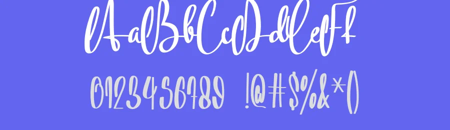 Willy & Wally Script Font by levincreative — Script Handwritten Font — thumbnail 3