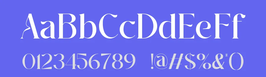 Wilone Font by ErmediaStudio — Serif Font — thumbnail 3