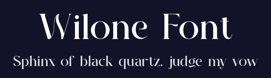 Wilone Font by ErmediaStudio — Serif Font — thumbnail 2