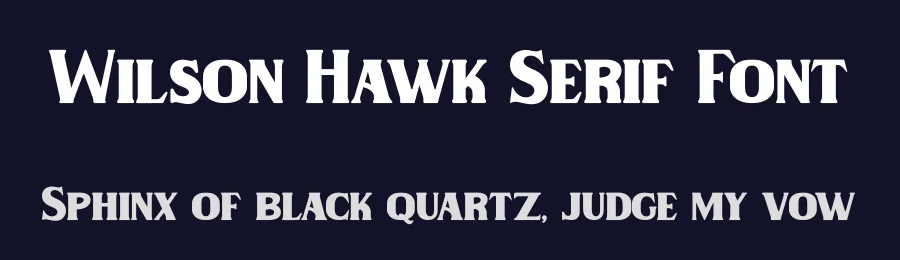 Wilson Hawk Serif Font by fontkong — Serif Font — thumbnail 2