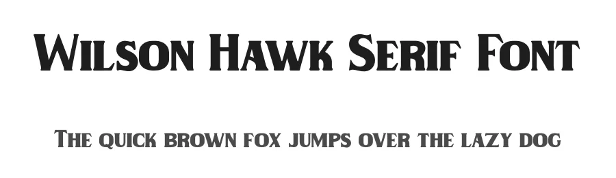 Wilson Hawk Serif Font by fontkong — Serif Font