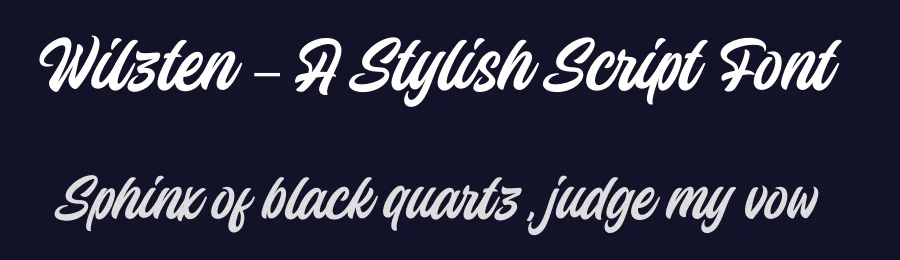 Wilzten – A Stylish Script Font by [email protected] — Decorative Font — thumbnail 2