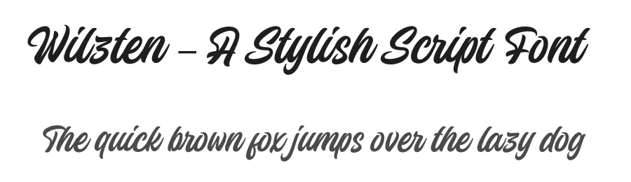 Wilzten – A Stylish Script Font by [email protected] — Decorative Font