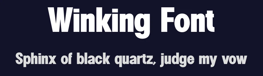 Winking Font by TypeLogue — Sans Serif Font — thumbnail 2