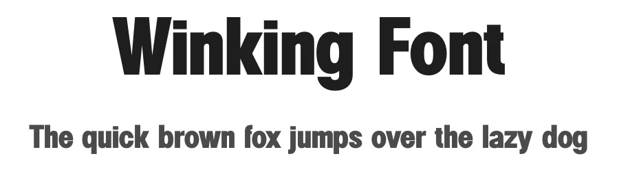 Winking Font by TypeLogue — Sans Serif Font