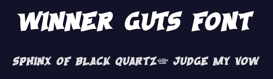 Winner Guts Font by noahtype — Decorative Font — thumbnail 2