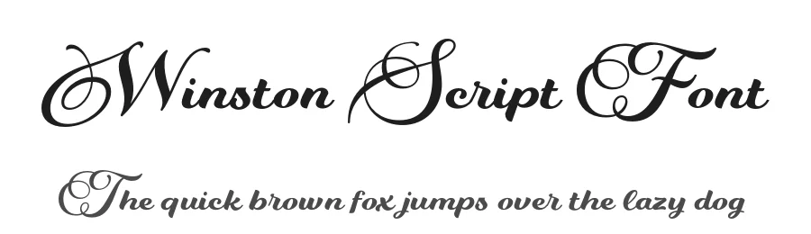 Winston Script Font by Areatype — Script Handwritten Font