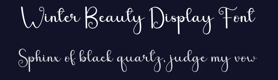 Winter Beauty Display Font by andikastudio — Script Handwritten Font — thumbnail 2