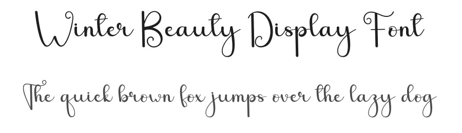 Winter Beauty Display Font by andikastudio — Script Handwritten Font