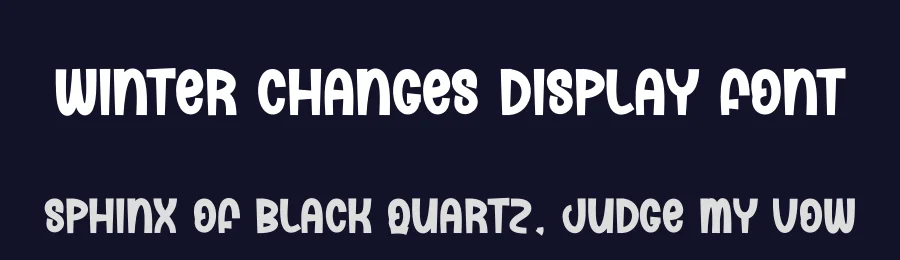 Winter Changes Display Font by andikastudio — Display Font — thumbnail 2