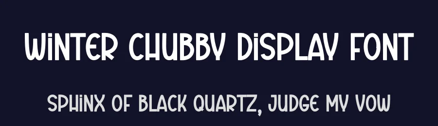 Winter Chubby Display Font by andikastudio — Script Handwritten Font — thumbnail 2